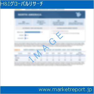 市場と産業調査レポートのイメージ